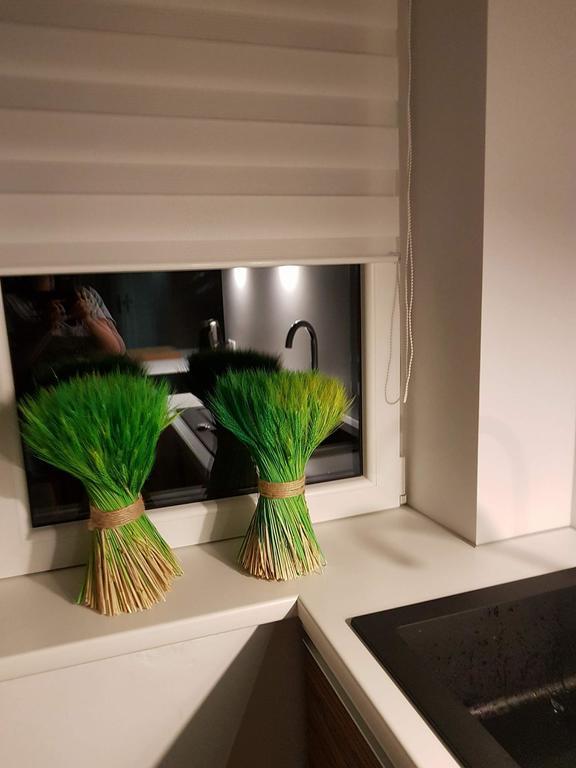 Apartament Palisander Kościelisko Eksteriør bilde